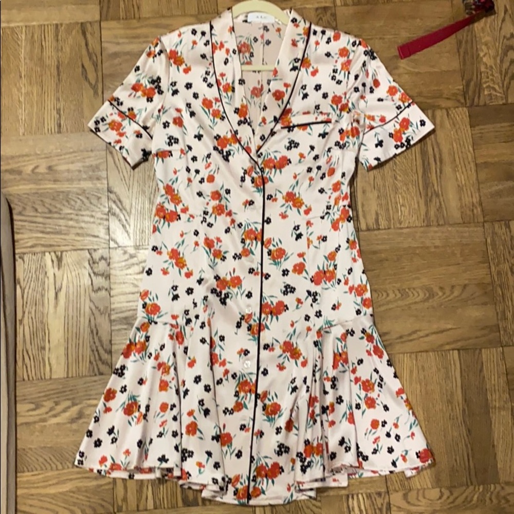 ALC Silk Dress